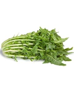 Puntarelle (Greens)