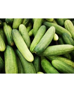 Cucumbers Super Select