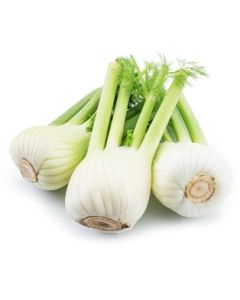 Fennel
