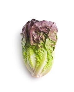 LOCAL Red Leaf Lettuce