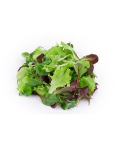 Mesclan Lettuce Salad