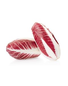 Radicchio Trevisano