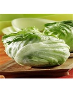 Iceberg Lettuce