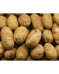 Idaho Baking Potato