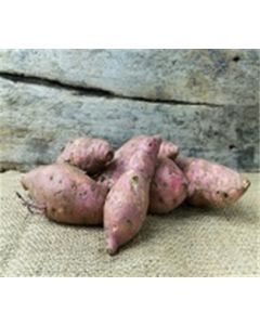 Organic Garnet Yams