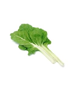 Organic Green Swiss Chard