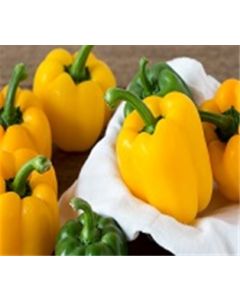 Peppers Imported Yellow