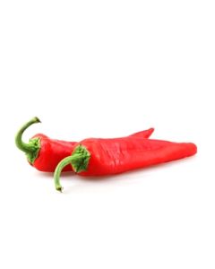 Holland Red Hot Pepper