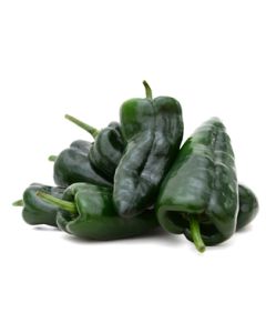 Poblano Pepper