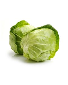Local Green Cabbage