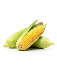 Corn