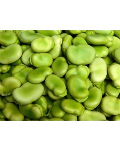 Fava Beans