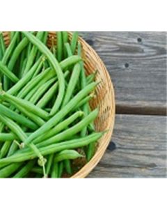 String Beans