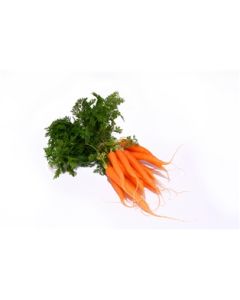 Baby Carrots By The Bunch