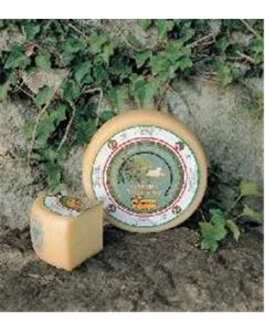 Pecorino Toscana Fresh Dop