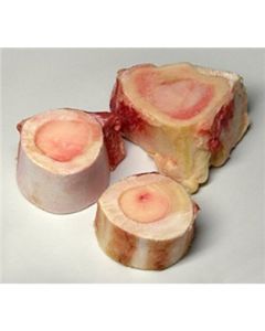 Bone With Marrow