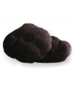 Fresh Black Truffle