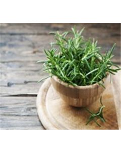 Rosemary A&V