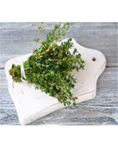 Thyme A&V