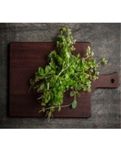 Oregano A&V