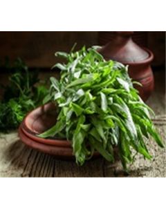 Tarragon A&V
