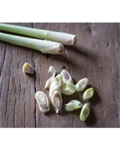 Lemon Grass A&V