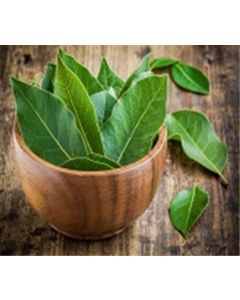 Bay Leaves, Fresh A&V