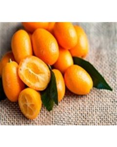 Kumquats