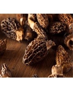 Mushrooms Morels