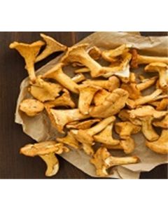 Mushroom Chanterelle