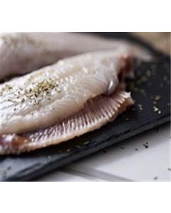 Grey Sole Fillet