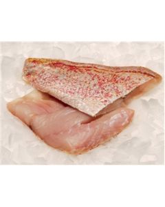 Red Snapper Fillet