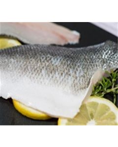 Sea Bass Chilean Fillet