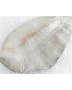 Turbot  Fillet