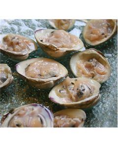 Little Neck ( Shucked)