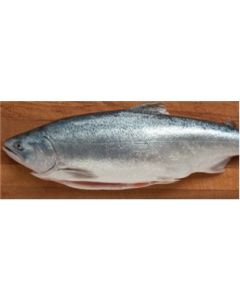 Salmon King All Nat Abhf New Zealand