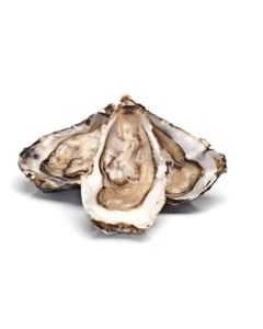 Oysters Kumamoto