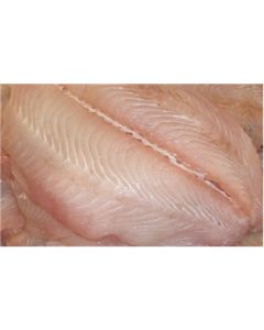 Flounder Fillet