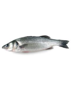 Branzino - Whole