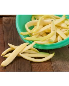 Yellow Romano Beans