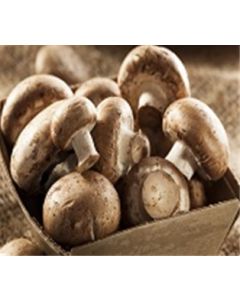 Baby Bella Mushrooms (10 oz.)