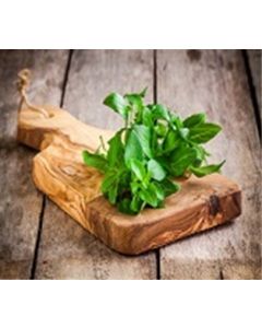 Basil A&V