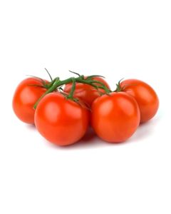 Backyard Tomatoes on the Vine