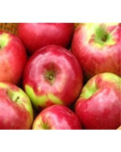 Local McIntosh Apples