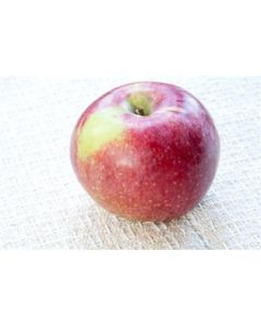 Local Macoun Apples