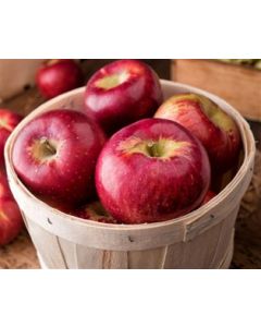 Cortland Apples