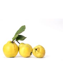 Quince Apples