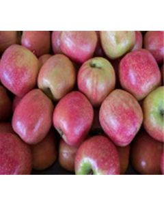 Pink Lady Apples