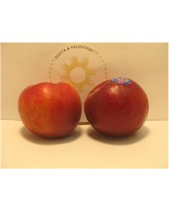 Red Plums