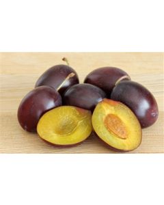 Italian Plums